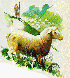 A sheep and its shepherd